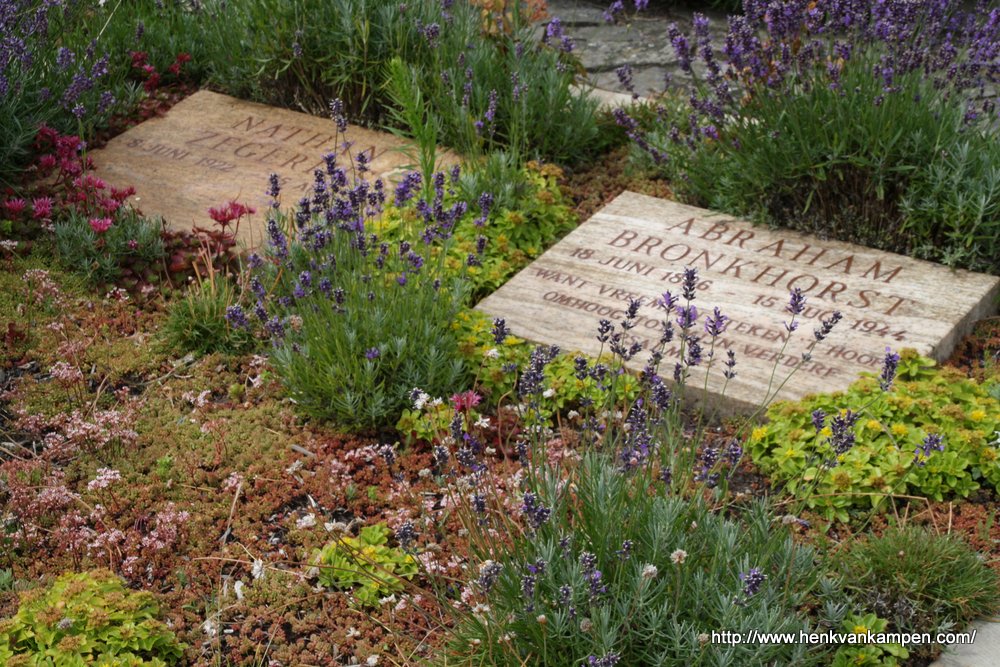 Two graves at the war cemetery of Overveen
