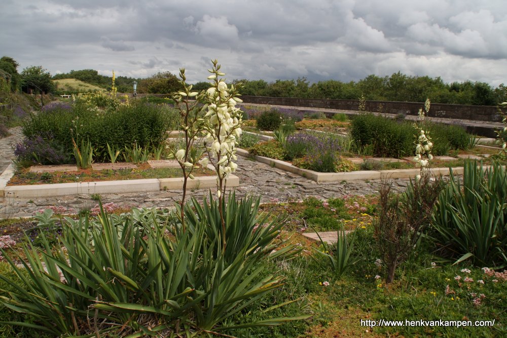 War cemetery, Overveen