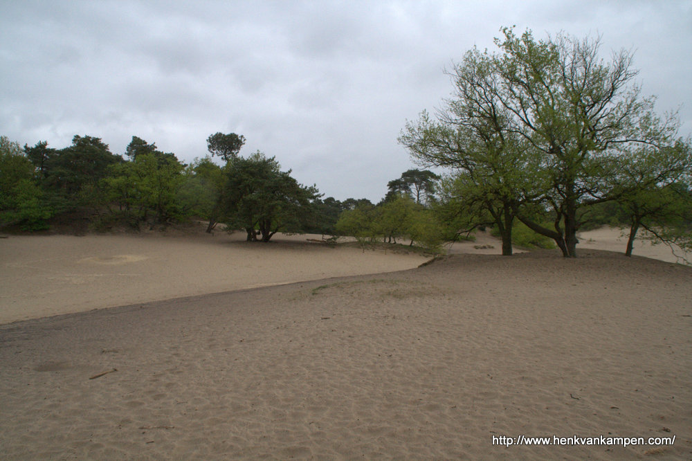 Sand drift