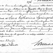 Death certificate of Sara Catharina Springvelt