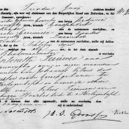 Death certificate of Antonetta Theeuwen