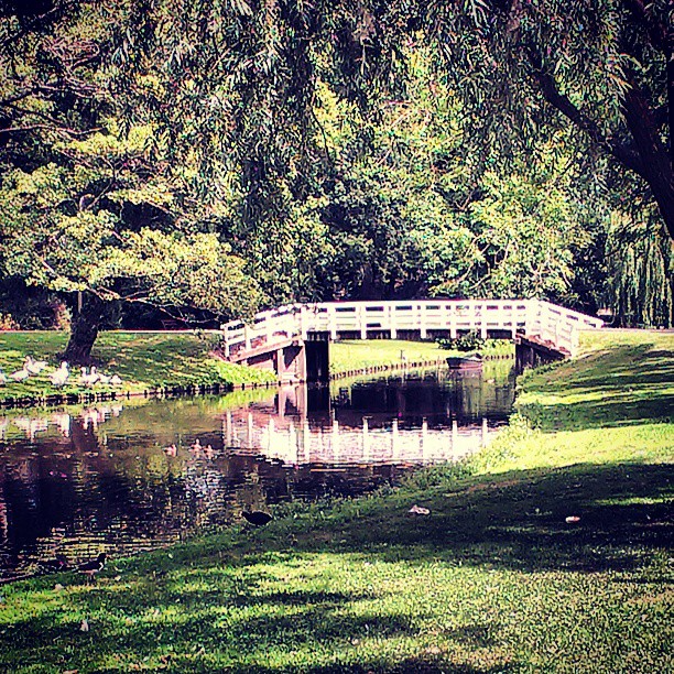 Bridge in a park, Kampen