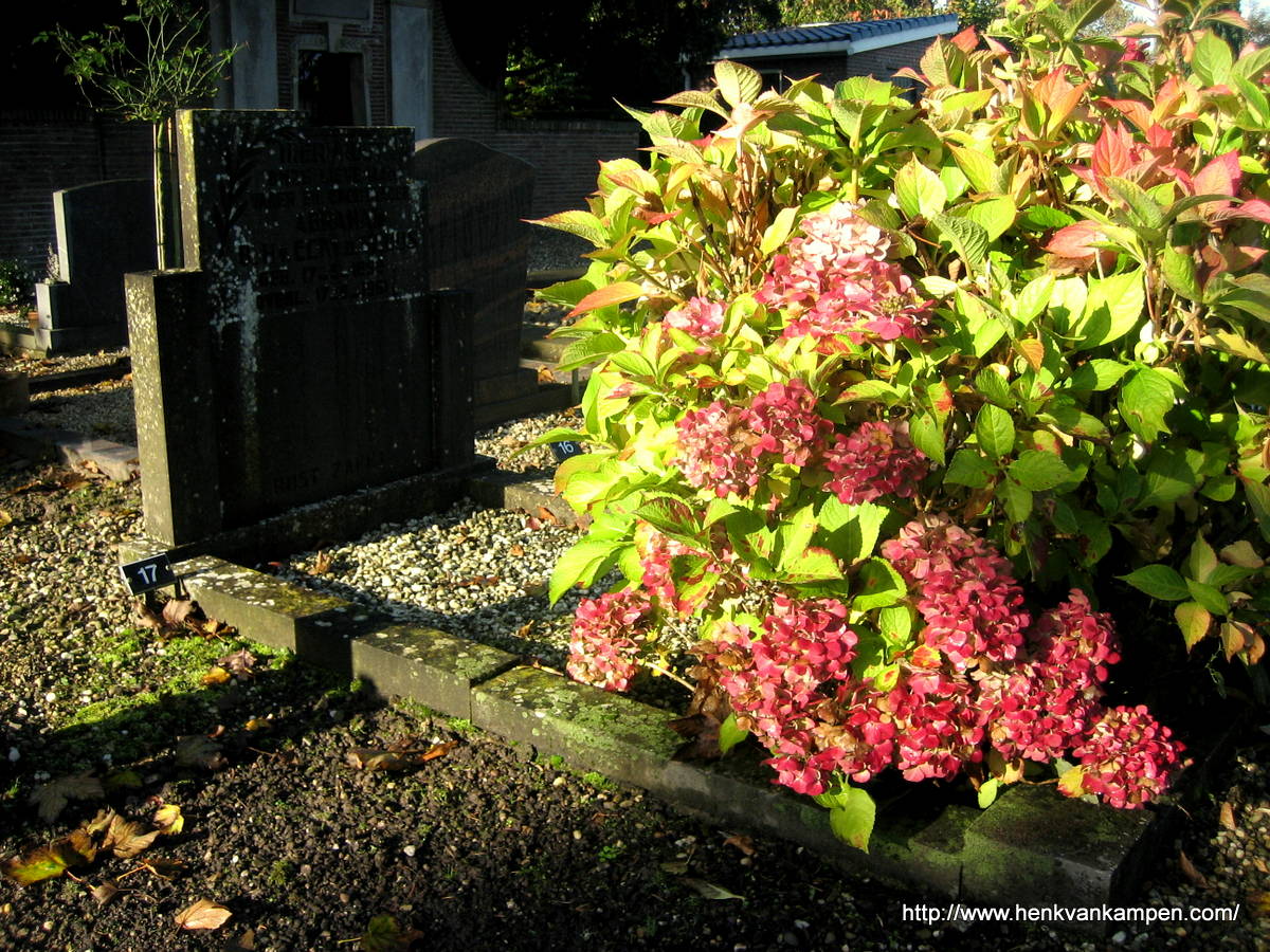 Wordless Wednesday