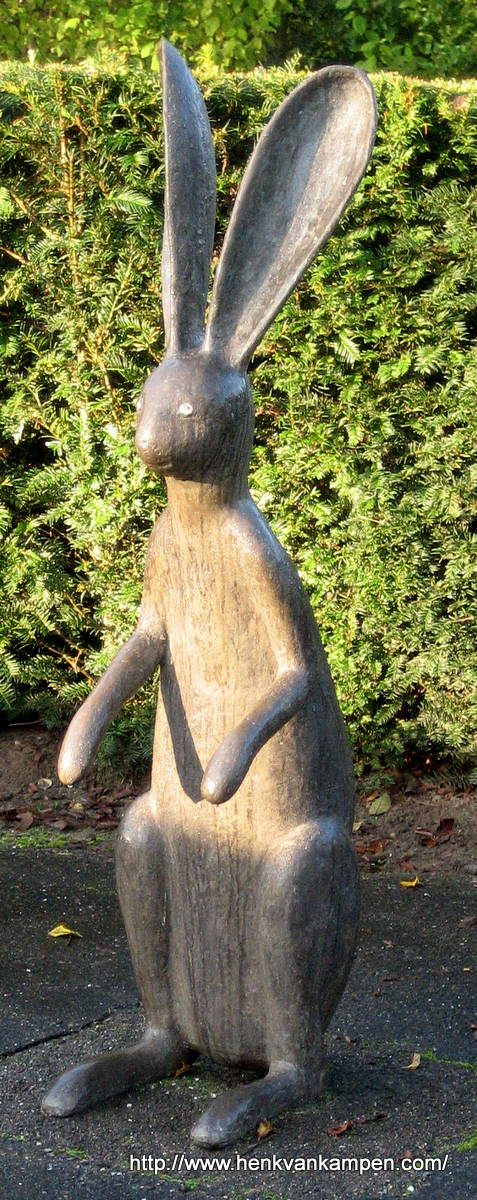 Graveyard rabbit