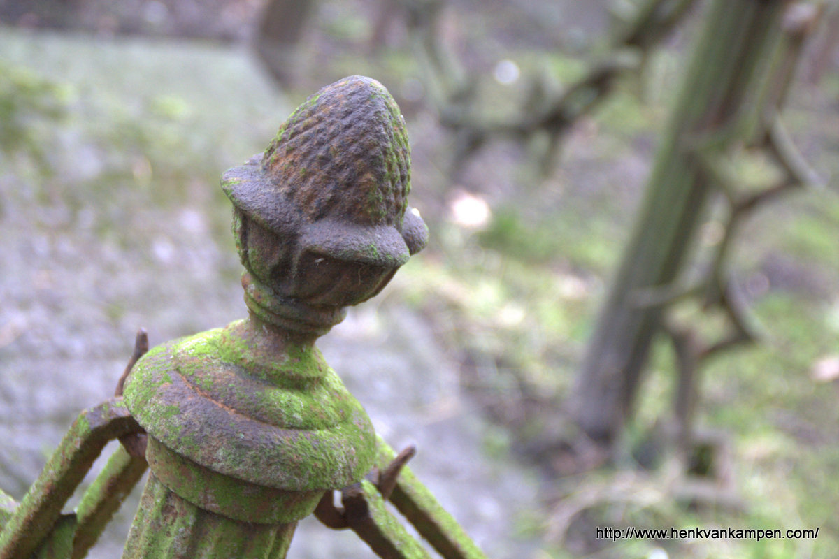 Wordless Wednesday