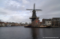 Photo Friday: Windmill in Haarlem