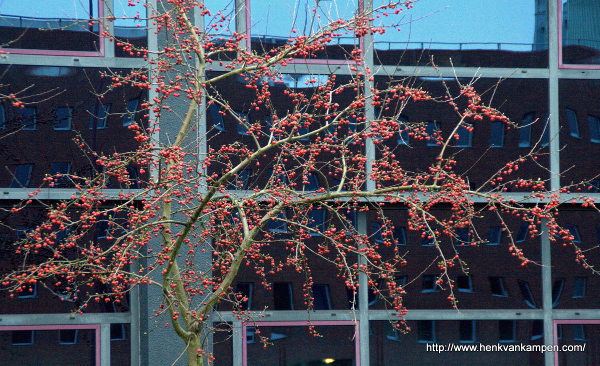 Spring is in the air