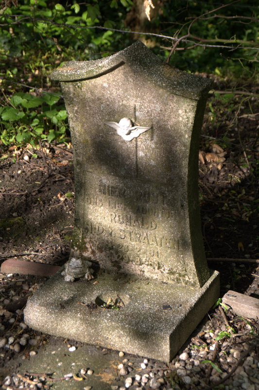 Wordless Wednesday: A child’s grave