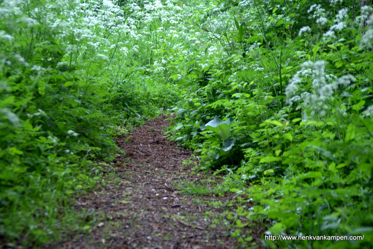 Park Oudegein
