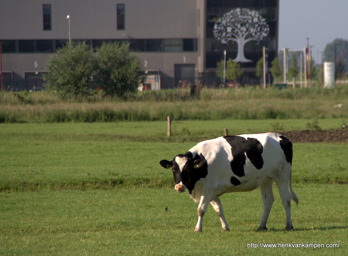 V&D distributiecentrum