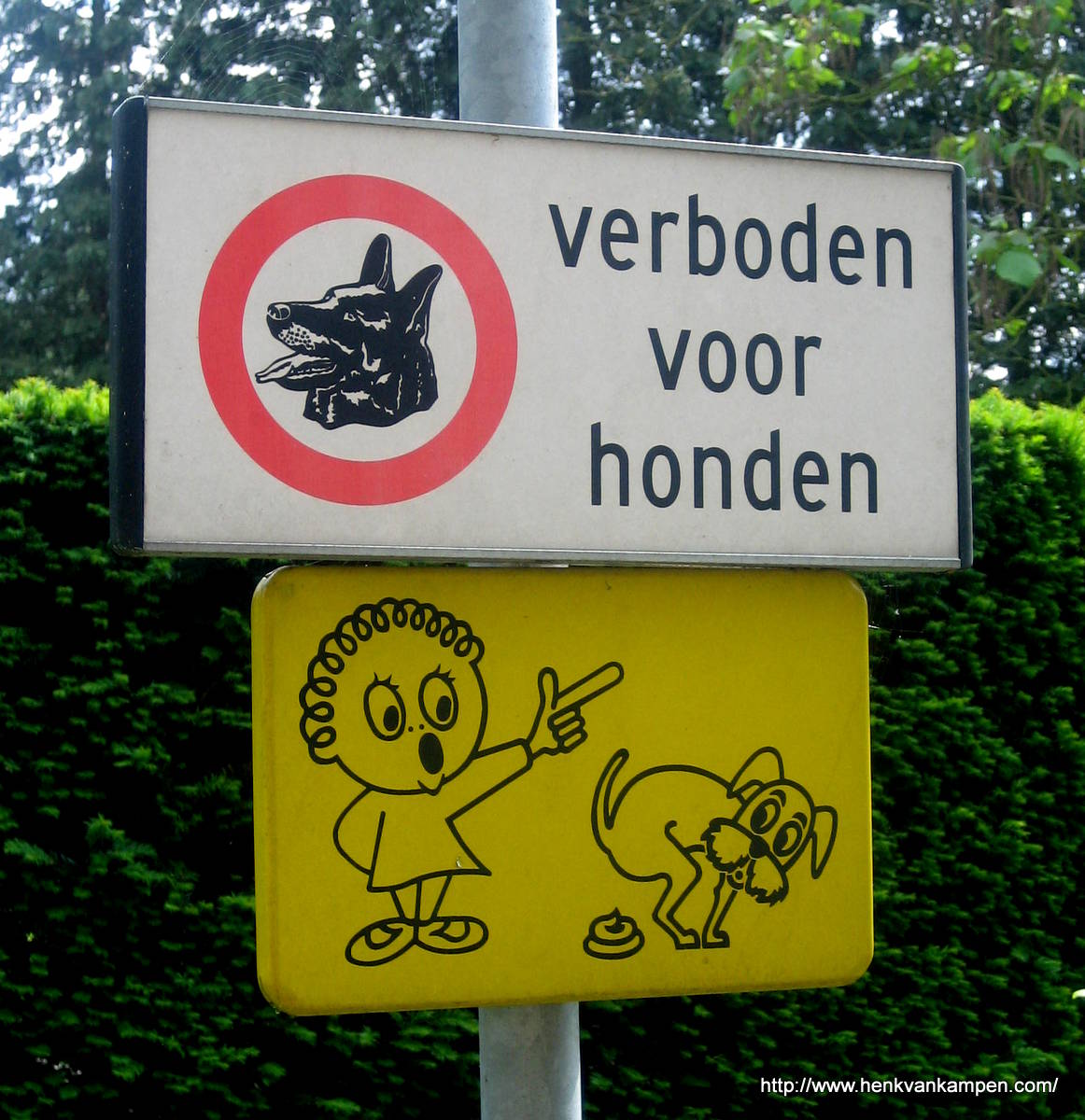 Wordless Wednesday: No dogs allowed