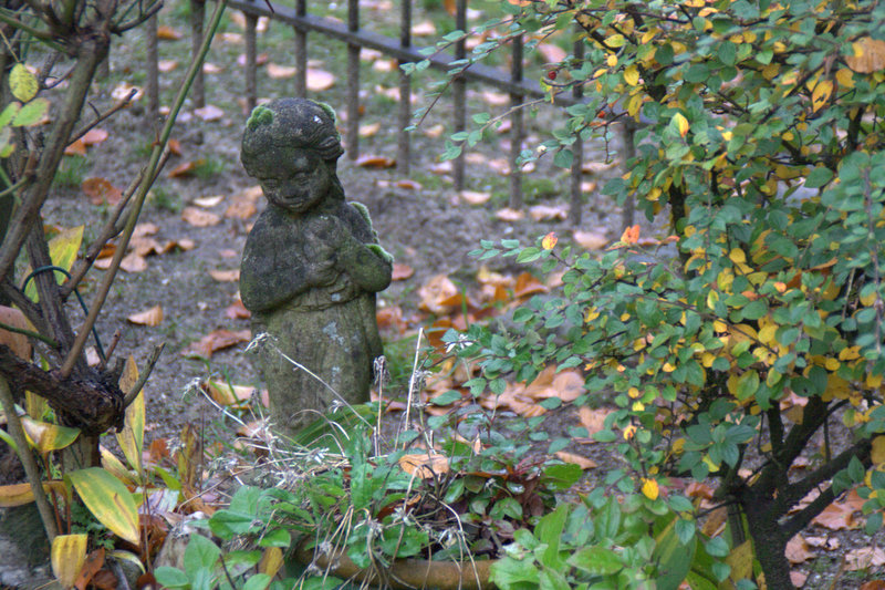 Wordless Wednesday