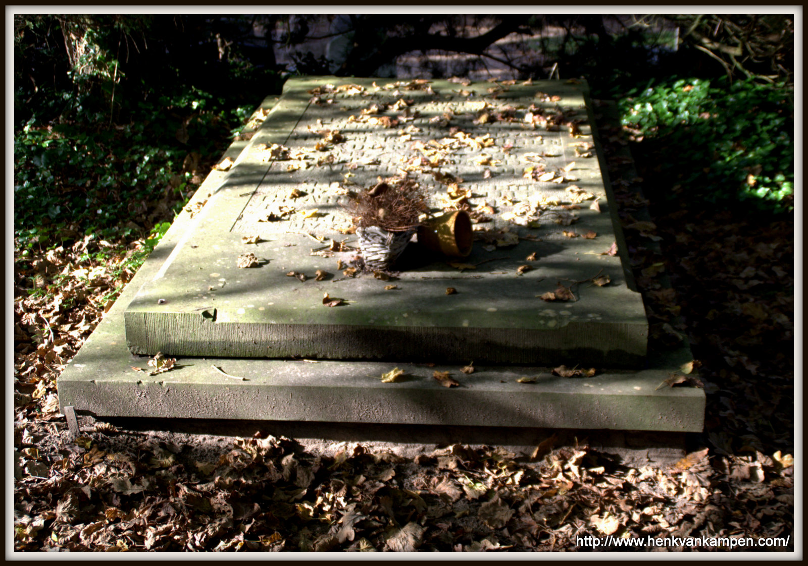 Wordless Wednesday