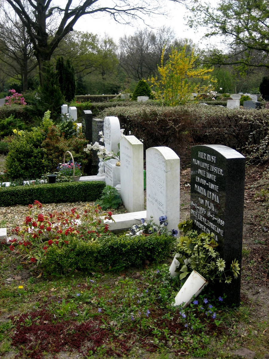 Daelwijck cemetery