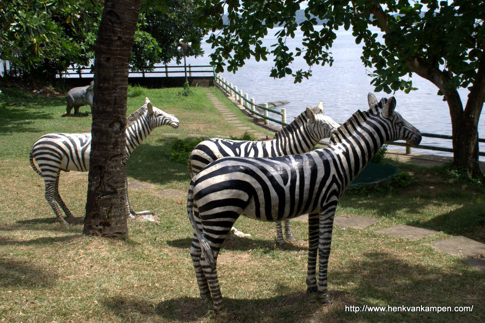 Wordless Wednesday: Zebra statues