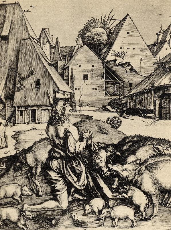 Dürer’s prodigal son