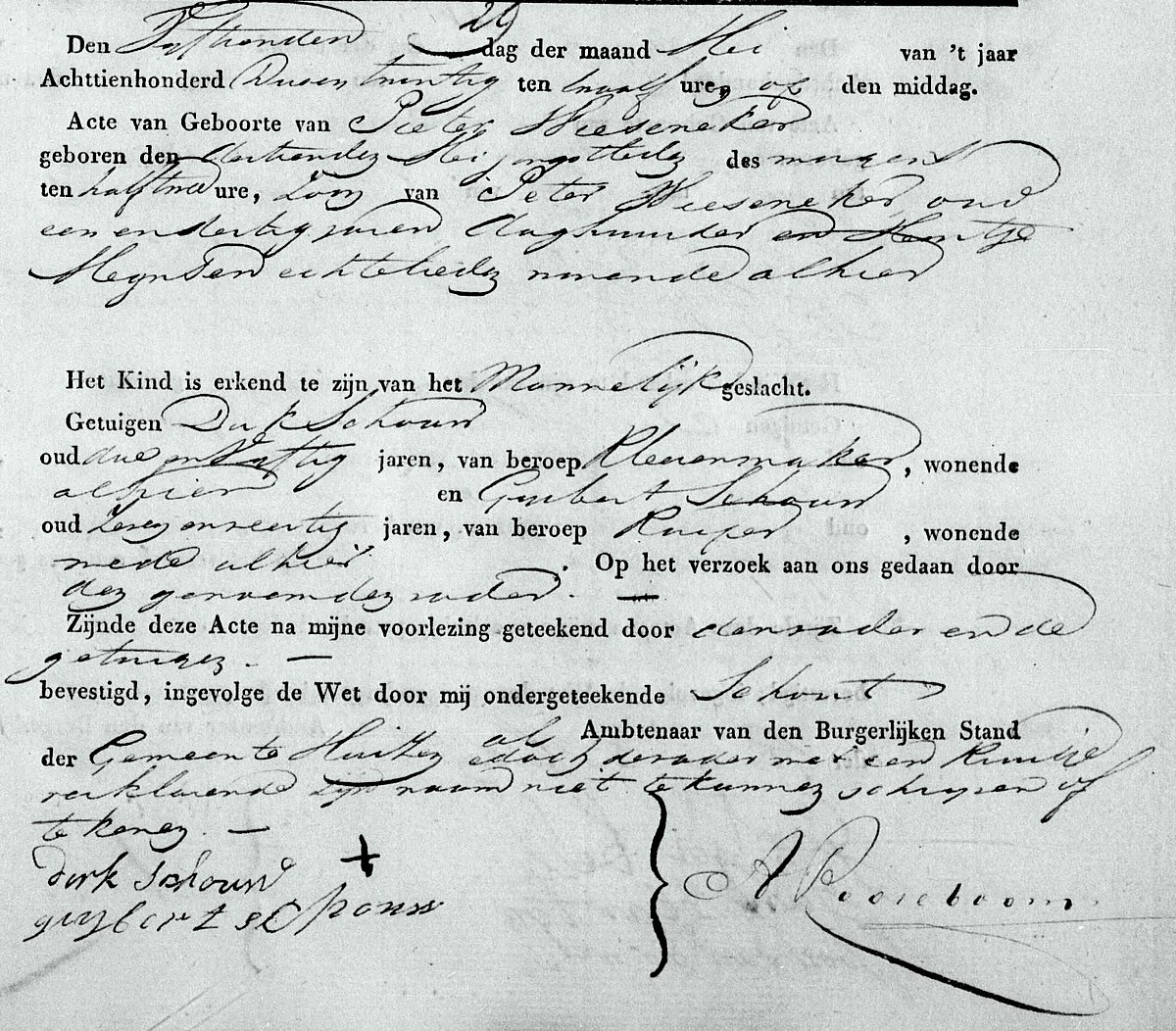 Birth certificate of Pieter Wieseneker